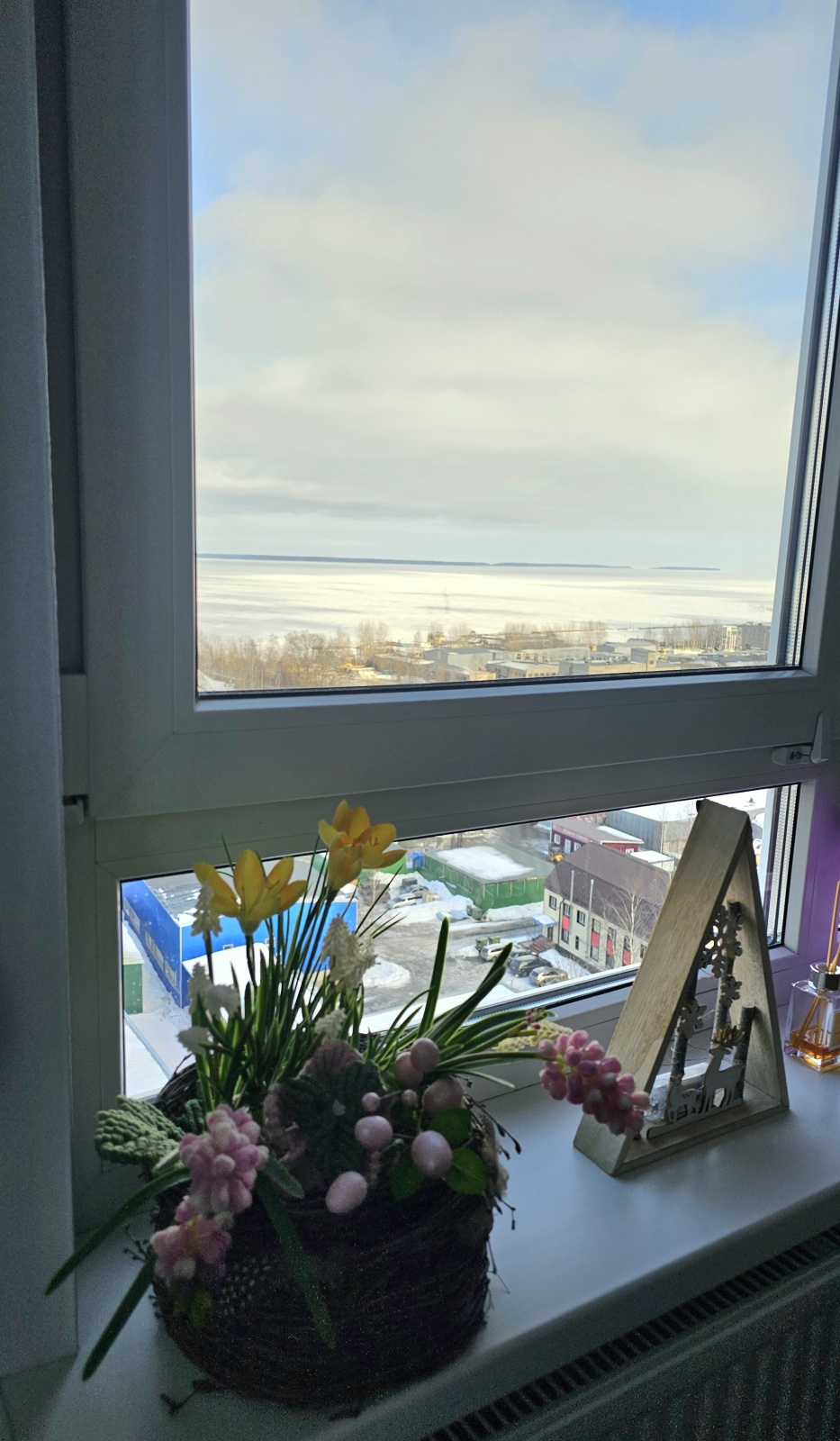 Онежский Сканди